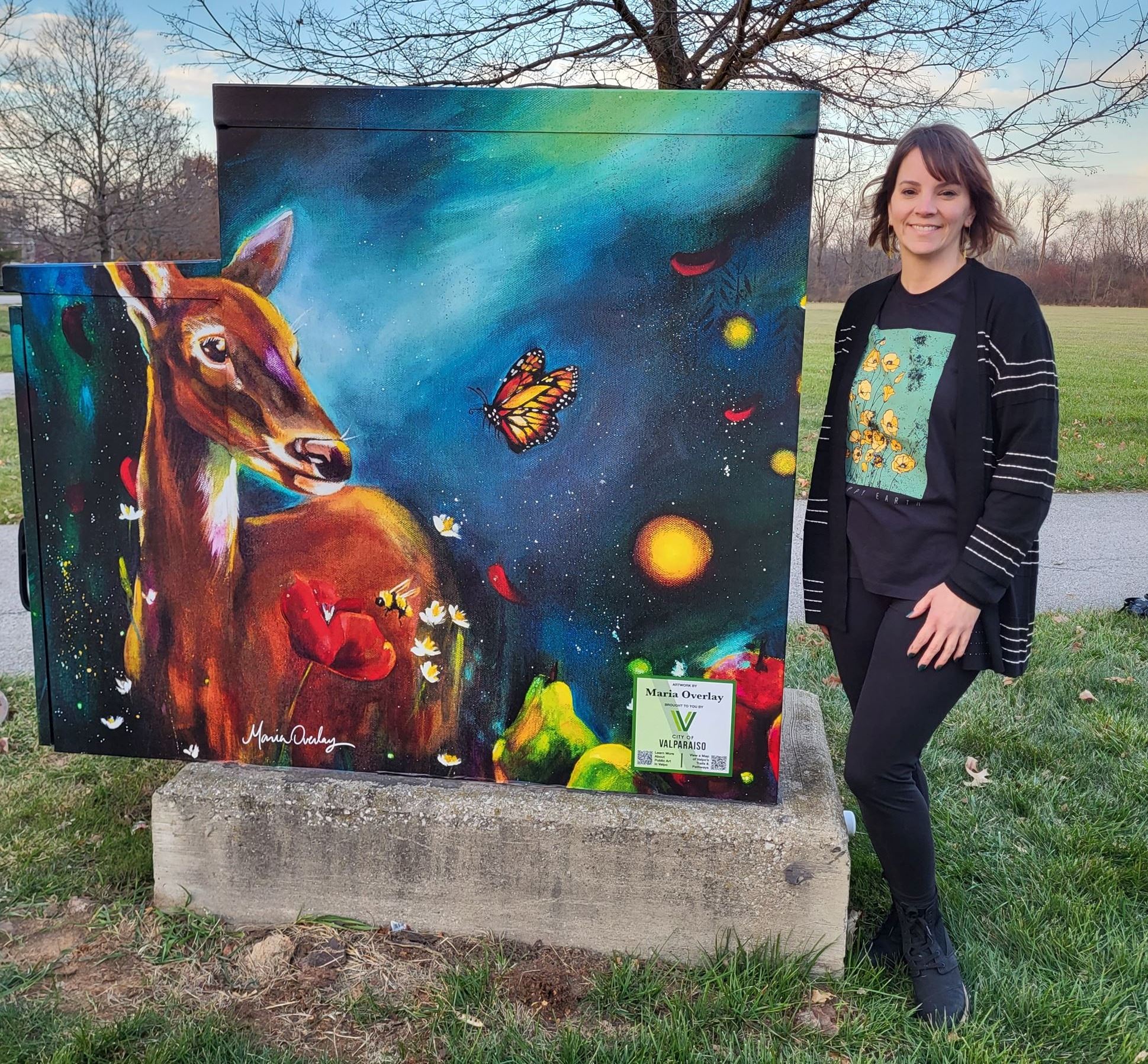 Utility box wraps in Valparaiso, IN