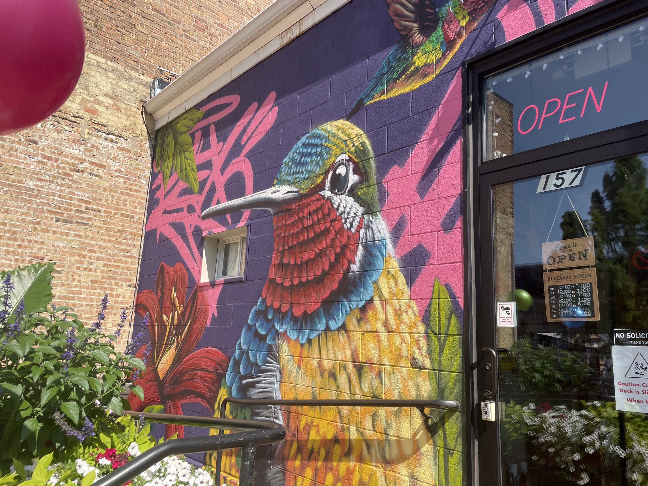 Flexing My Wings mural at Rocket Fizz in Valparaiso, IN, 2024.